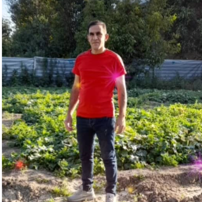 حجت نانسایی