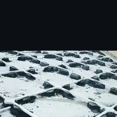 عبدالله بزله 