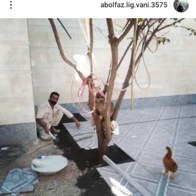 کاشی کاری لقوانی 